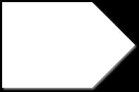 paratuberculosis, Salmonella spp. aj.