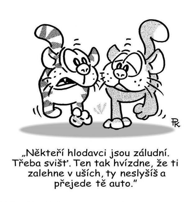 Dotazy: Jaký je rozdíl velké a malé kuřecí stehno? - Větší podáváme k obědu a menší k večeři. Bylo by možné zařadit uzené kuřecí stehno?