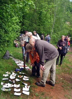 Hodnocení foto soutěže ČMS 2008 a vítězný snímek v hlavní kategorii Mykologické terénní vycházky a osvětové akce