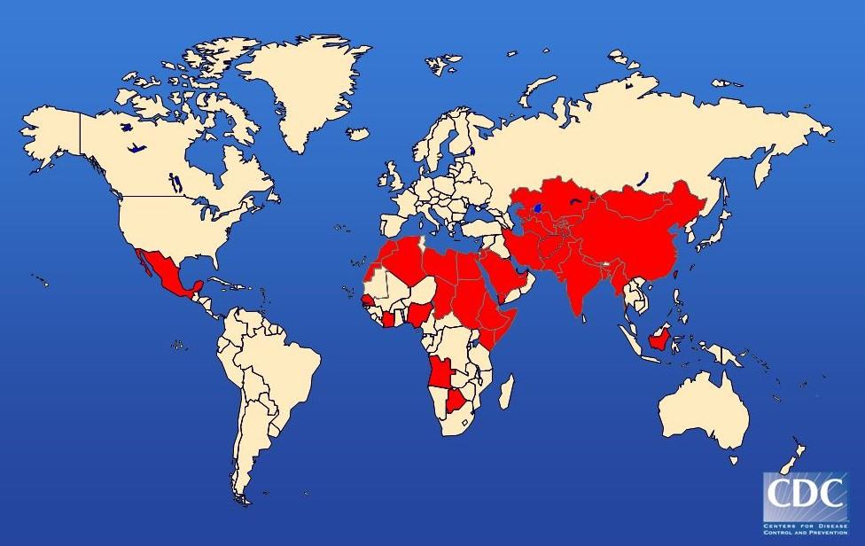 Geografická distribuce