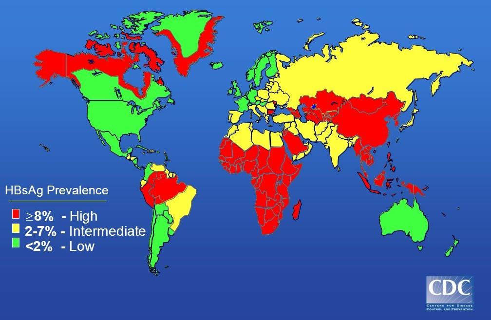 Geografická distribuce