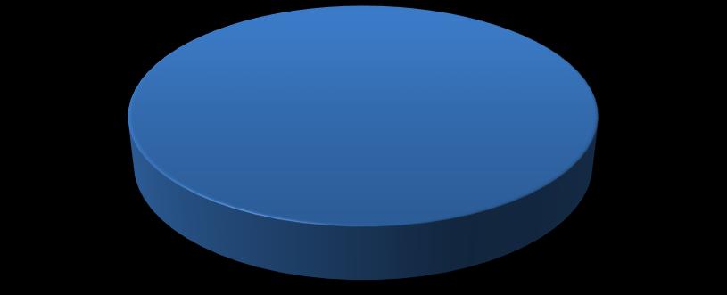 Doplňující vyšetření - labrální léze 72% 17% 5,5% 5,5% MR RTG UZ Žádné další