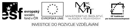 Státní správa a samospráva Ministerstvo práce a sociálních věcí ČR Odbor sociálních věcí Ministerstvo práce a sociálních věcí ČR Odbor rodiny a ochrany práv dětí Ministerstvo vnitra ČR Ministerstvo