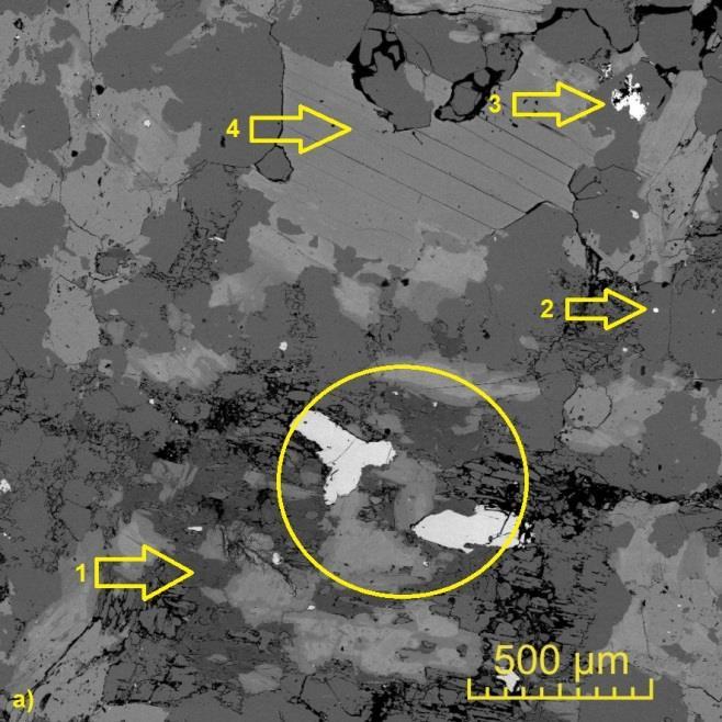 6.4 Elektronová mikroanalýza SEM Ve vzorcích S0258/IV a S0258/V byly jako akcesorické minerály identifikovány, apatit (Obr.