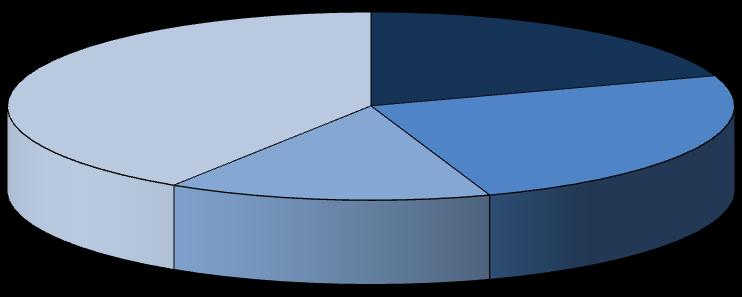 4.5.13. Shrnutí Jak můţeme vidět v grafu 3, nejfrekventovanější jsou nepravidelná slovesa, jichţ je v Češtině pro cizince o 8% více neţ v ČNK. Téměř stejnou frekvenci jako v korpusu má 2. a 3.