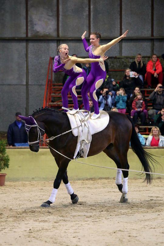 V období květen až srpen jsme mimo jiné publikovali i rozhovory s Alešem Opatrným (vítězství GP CSI3 Olomouc), Barborou Valštýnovou (CSI3 Olomouc), Kamilem Papouškem (účast na CSI3 Olomouc ), Riou