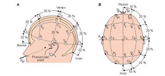 Mezi základní typy elektrod patří: Povrchové elektrody (EEG čepice) Podkožní elektrody V experimentu byla použita EEG čepice s rozmístěním elektrod, které je dáno mezinárodní normou a je označeno