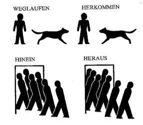 Isotype jako