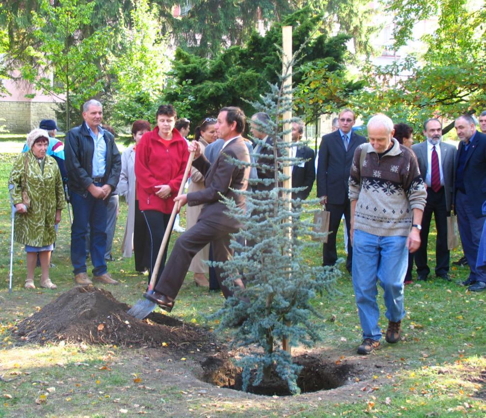 STROM ROKU 00 a k obohacení sbírky 9 8