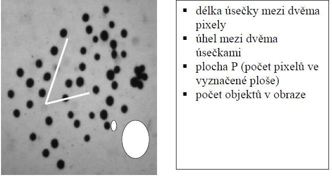 Zpracování obrazu úprava a zpracování snímků důležité pro jeho vyhodnocení 1. Aritmetické operace sčítání - průměrování odečítání např. pozadí násobení např. korekce kontrastu dělení 2.