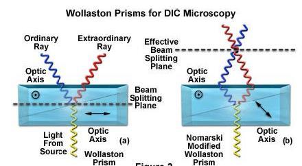 Normanského diferenciální interferenční kontrast funkce Wollastonova hranolu hranol rozdělí lineárně polarizované světlo na dvě vzájemně kolmo polarizované složky (o a e paprsek) o a e paprsky nejsou