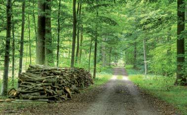 jednostranně otevřené hrázděné stěny (instalační roviny, příčky) FEELINGWOOD NOVÁ GENERACE TEPELNÉ IZOLACE Feeling wood je tepelná izolace z dřevěných vláken.