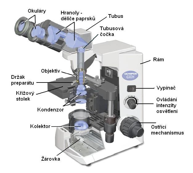 Složení mikroskopu CX 31 ČÁST MECHANICKÁ: stativ, tubus, revolverový měnič objektivů, stolek, makrošroub, mikrošroub, vypínač,