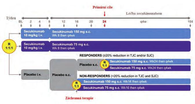 cebové skupině rerandomizováni dle klinické odpovědi do dvou skupin dostávajících secukinumab v dávce 150 mg nebo 75 mg (obr.