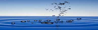 Voda Vodní potenciál Vodní potenciál = osmotický pot. + potenciál matrix + tlakový potenciál + Ψ = Ψ π + Ψ m + Ψ p + Ψ g Osmotický potenciál - dán koncentrací rozpuštěných látek Potenciál matrixu (?