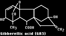 uk/plantsci/gas.html http://users.rcn.