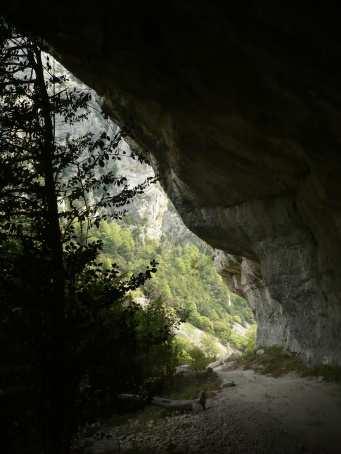 Verdon zelený, listnatý Verdon šedý,