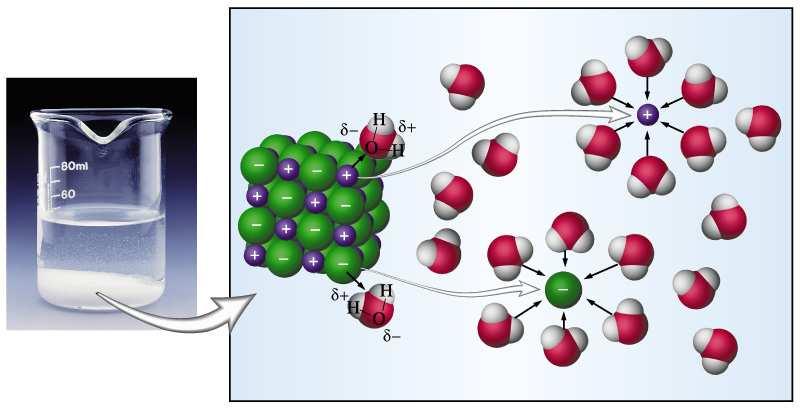 Intermolecular interactions ion - dipól Rozpouštění solí,