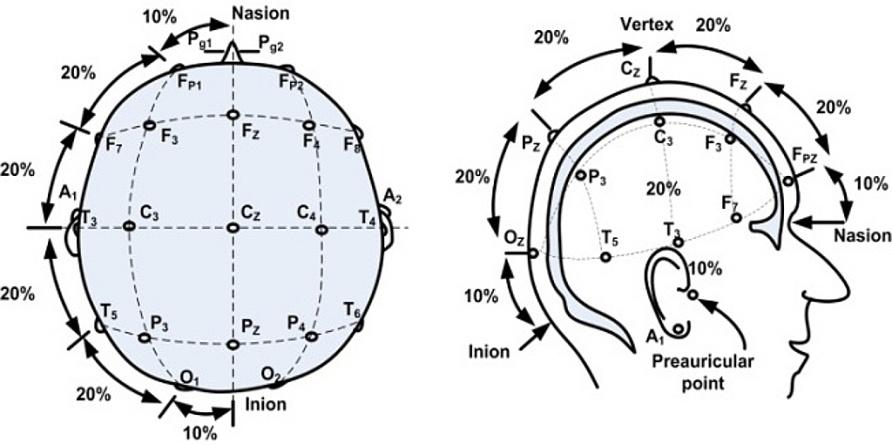 2. EEG čísly na levé straně hlavy a sudými čísly na straně pravé []. Rozmístění elektrod podle systému -2 je znázorněno na Obr. 2. Obrázek 2. Pozice elektrod pro -2 systém [4] 2.3.