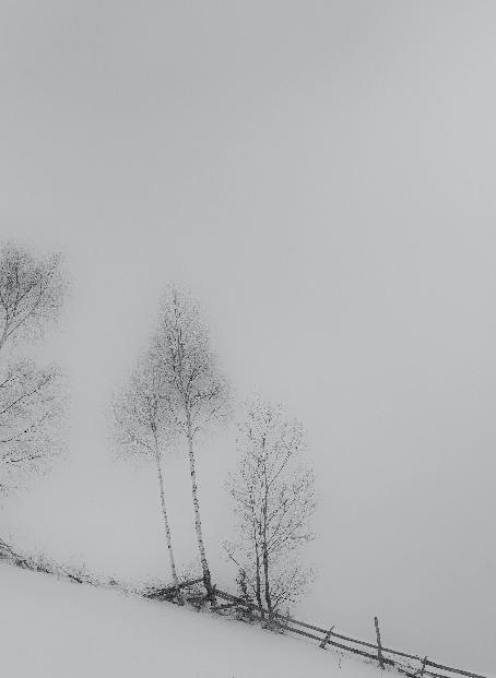 Poziom się zmienia, pion pozostaje stały. Horizont se toulá, vertikála stojí pevně.