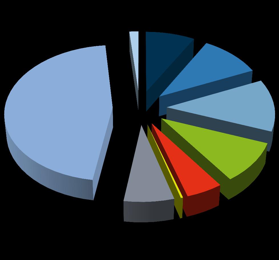 Podíl rozhlasových stanic na trhu (v %) Soukromé lokální a