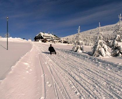 Než vyrazíte na lyže, podívejte se na www. krkonose.eu, najdete tam seznam všech krkonošských zimních středisek, sněhové zpravodajství i aktuální informace o provozu lanovek.