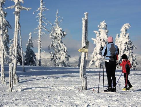 Chystáte se na běžky a váháte, kam přesně vyrazit? Na webových stránkách www.krkonose.eu najdete přehled vybraných tras. Nevíte, která z nich je aktuálně upravená? Stačí se podívat na www.bilestopy.