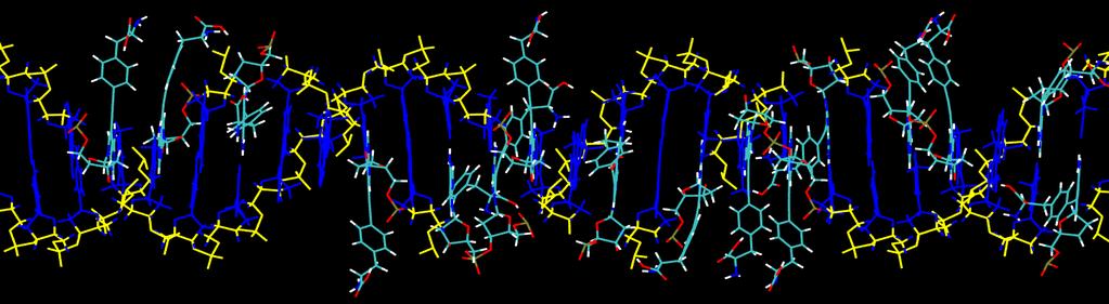 PCR