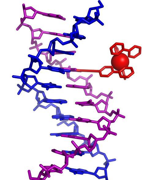 1. Syntetická metodika Hlavní oblasti výzkumu 2. Farmakochemie 3. C-nukleosidy pro chemickou biologii 4. Funkcionalizované nukleové kyseliny pro bioanalýzu nebo chemickou biologii J. rg. Chem.