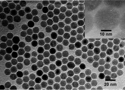 Nanomateriály na bázi oxidů železa g-fe 2 O 3 NPs e-fe 2 O 3 NPs in a silica