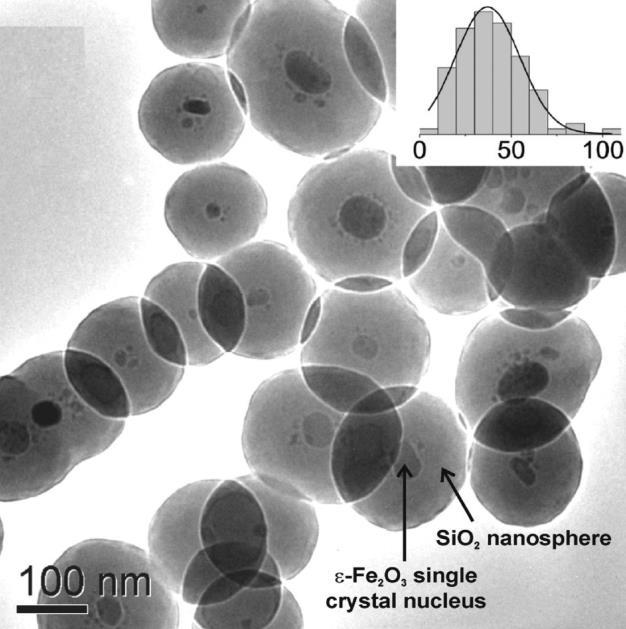 magnetic NPs for biomedicine applications (MRI, drug delivery, cells labeling, )