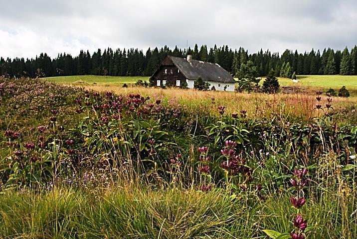 Zaměření: venkovní, pro děti, pro místní obyvatele, odborné, ZA HISTORIÍ KANÁLU Místo: Parkoviště Jelení vrchy Schwarzenberský plavební kanál se stal nedílnou součástí šumavské přírody.