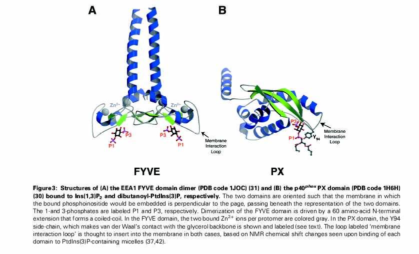 Structure of