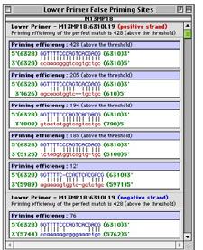 DNA Orientan lze vypoítat T a podle vztahu: T a = 2(A+T) + 4(G+C) 5 C C = T m 5 C 17 18 NÁVRH PRIMER PRO