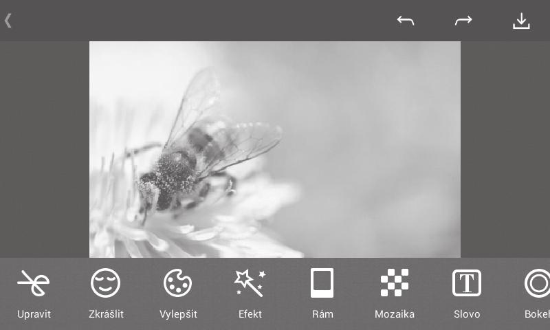 Najděte obrázek, se kterým chcete pracovat, a klepnutím na obrázek jej zobrazte přes celou obrazovku. Posunutím dolního panelu ikon doleva nebo doprava můžete vybrat jednu z dostupných možností.