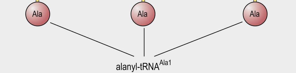 v trna a třemi