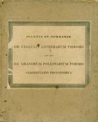 klíčení pylu na blizně (1824) 1847 Popis