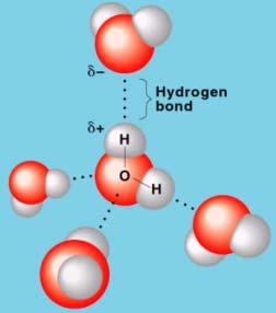 Vodíková vazba H s elektronegativními atomy