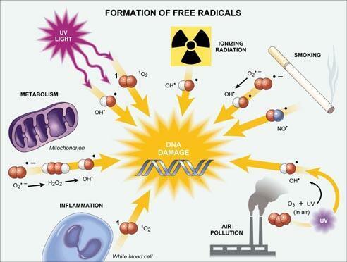 Volné radikály Volné radikály jsou chemické částice obsahující jeden nebo více nepárových elektronů a jsou velmi reaktivní.