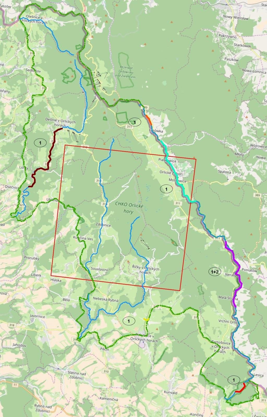 Obr. 8 Výsledky stopování v CHKO Orlické hory ze dne 19. 1. 2017. Vyznačený kvadrát má plochu 10 10 km. Zeleně hranice CHKO Orlické hory, stopovaná oblast.
