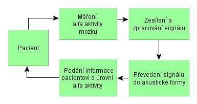 možností podat výstup alfa monitoru pacientovi ve zvukové (akustické) podobě. Na obr. 8 je uvedeno zjednodušené schéma principu zpětné biologické vazby pro měření alfa aktivity (tzv. relaxační model).