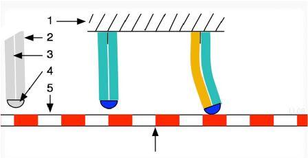 legs) 1 - tube 2