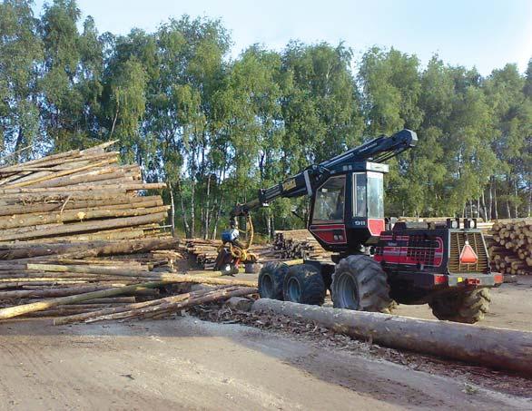 Po oživení trhu s řezivem a hoblovaným zbožím, byl od července opět zaveden nepřetržitý provoz s předpokládaným ukončením v srpnu. Pracovníci byli většinou doplněni brigádníky.