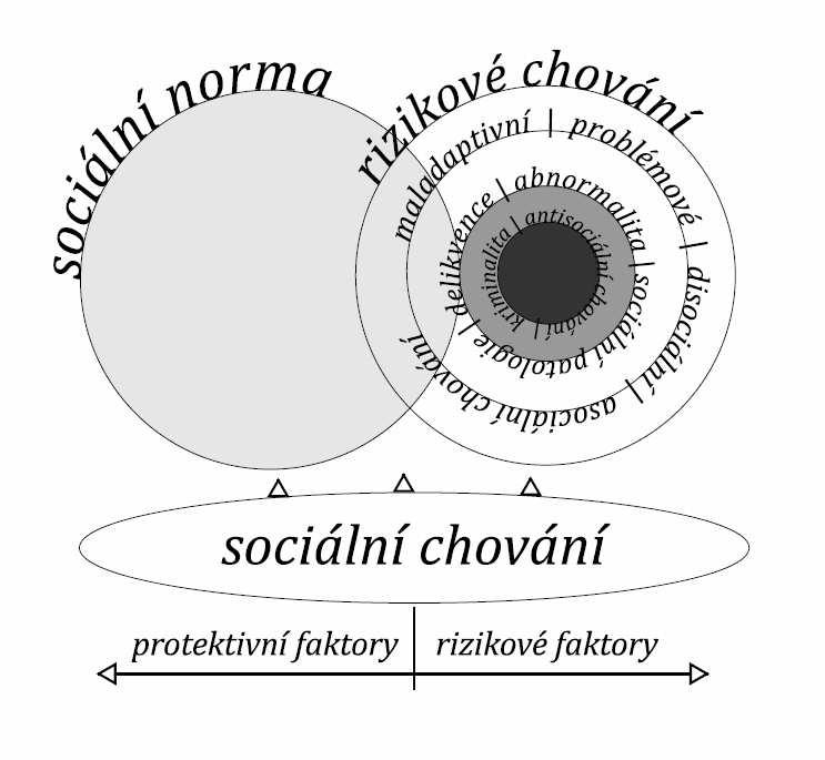 Následující souhrnné schéma se snaží integrovat výše uvedené formy sociálního chování, jejichž směr, kvalitu či způsob určují tzv.