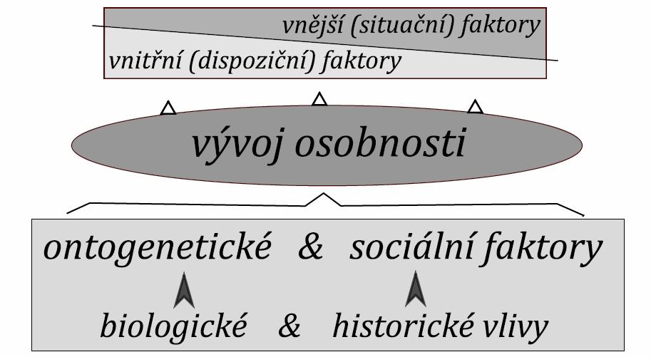 vybraných forem rizikového chování (VRCHA). Dále budeme ověřovat základní znaky celkové reliability a položkové reliability (vnitřní konzistence) jednotlivých faktorů a škál.