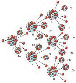 در فرایند شکافت ترکیبهای مختلفی از هستههای کوچکتر به وجود میآیند که یک نمونه آن را میتوان به صورت زیر در نظر گرفت: 1 235 91 142 1 0 92 36 56 0 n + U Kr + Ba + 3( n) + 200 MeV توجه کنید که در این