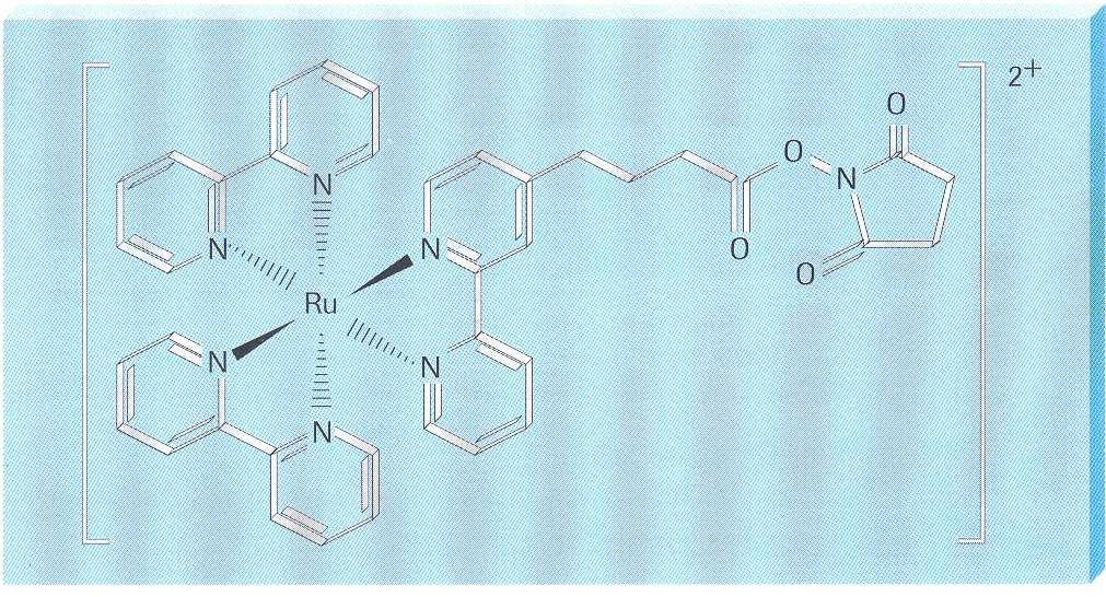 Rutenium(II) tris-bipyridylovým komplexem Při sendvičovém uspořádání pak