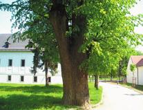 12 dubnické noviny č. 10 - október 2005 www.dubnica.sk dn do 4. 11. VÝSTAVA VÝTVARNÝCH PRÁC IAKOV Z S M C. III. vestibul MsDK 4. 11. o 8.30-9.