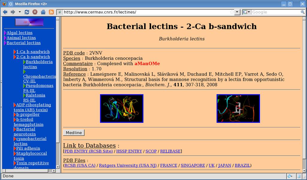 Glyco3D