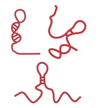 RA mra tra rra uracil ribóza snra http://www.broadinstitute.